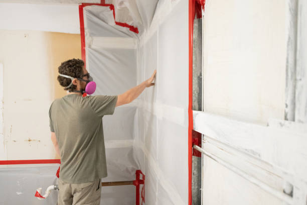 Mold Remediation for Vacation Homes in Mckeesport, PA